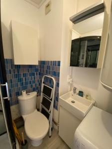a bathroom with a toilet and a sink and a mirror at Le Sunny Hardelot in Neufchâtel-Hardelot