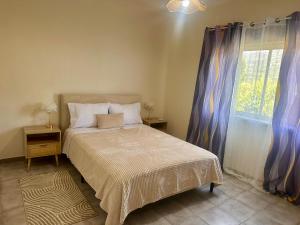 a bedroom with a bed and a window at O Jardim Mágico in Teixoso +67 photos