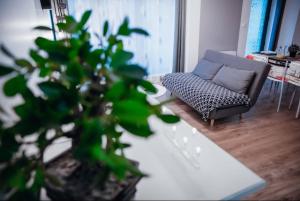 a living room with a couch and a plant at 1 Le Cocon Mosaïque Centre-ville in Ernée