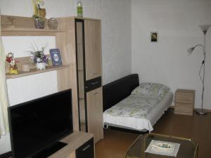 sala de estar pequeña con TV y cama pequeña en Haus Steinwaldblick, en Bernlohe