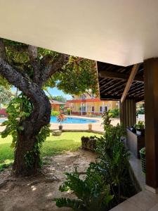 a tree in a yard with a swimming pool at Hotel Uirapuru in Goianesia do Para +14 photos