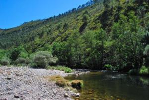 a river next to a mountain with trees and bushes at Casa da Azenha- Riverside Retreat by Paiva River Beach in Paradinha