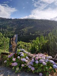 a picture of a man on a sign next to flowers at Casa da Azenha- Riverside Retreat by Paiva River Beach in Paradinha