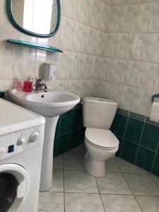 a bathroom with a toilet and a sink at Apartament Zielone Buki in Buczkowice +5 photos
