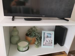 a tv on a shelf with plants and a picture at CASA MINI 5 in Pécs