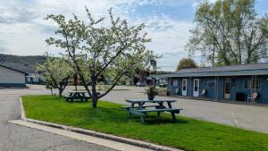 two picnic tables in the grass in front of a building at Scotty's Motel in Munising