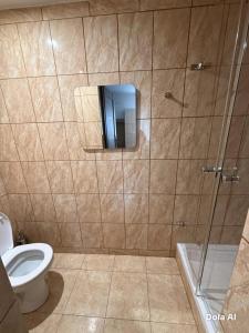 a bathroom with a toilet and a shower at 9 Dańce - comfortable accommodation 22-220 - WIFI included in Dańce +14 photos