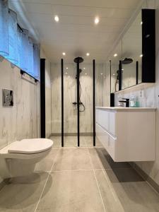 a bathroom with a toilet and a shower and a sink at The Chess House Lofoten - Luxury Arctic Villa in Fredvang in Fredvang