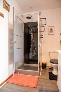 a shower with a glass door in a bathroom at Maison de La Beslière meublé de tourisme 2 étoiles in Folligny +89 photos