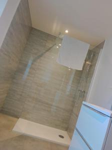 a shower with a glass door in a bathroom at Gîte entre l'océan et le golfe in Surzur
