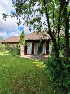 a house with a green yard in front of it at Ferienchalet Hechingen in Hechingen