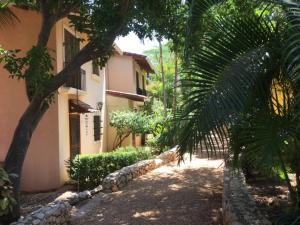 a house with a palm tree and a building at Centric, clean, safe, with pool & monkey visitors in Tamarindo
