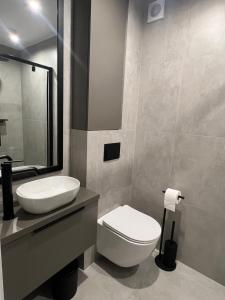 a bathroom with a white toilet and a sink at Skorzęcin Apartamenty Orla in Skorzęcin +23 photos