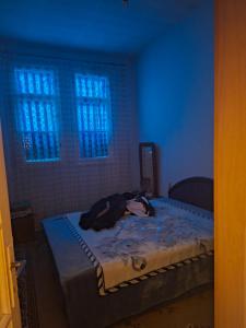 a bed in a room with blue lights at Anita in Danilovgrad