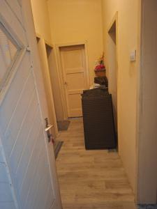 a hallway with a white door and a wooden floor at Anita in Danilovgrad