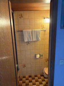 a bathroom with a shower with a toilet and towels at Das Alpenglühn Hotel & Restaurant in Krün