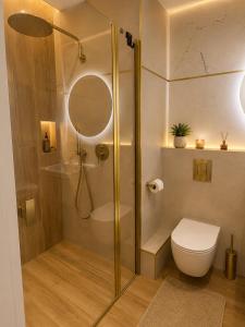 a bathroom with a shower and a toilet at Family Spot in Konin