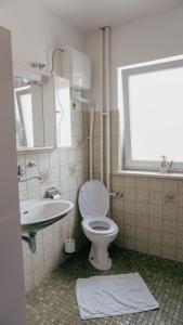 a bathroom with a toilet and a sink at Gacka idila in Otočac