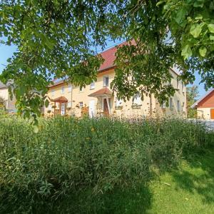 a large house with a yard with grass at Li-Do-Bo 01 in Herdwangen-Schönach