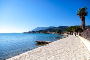 a path next to a body of water with a palm tree at Coastline Studio Apartment Ligia Bay in Lygia