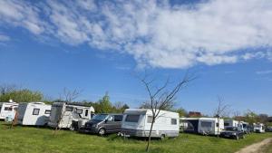 a group of rvs parked in a field at Marina Park Camping in Vama Veche