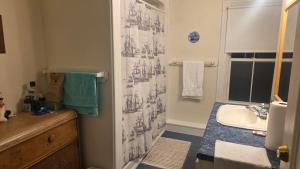 a bathroom with a shower curtain and a sink at East Ferry Bed and Breakfast in Brier and Long Islands