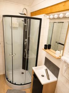a shower in a bathroom with a sink and a mirror at Gîtes Hydra Charme et Nature proche Honfleur en Normandie in Conteville +16 photos