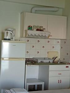 a kitchen with a sink and a white refrigerator at Irida maria Family studios in Agios Ioannis Pelio