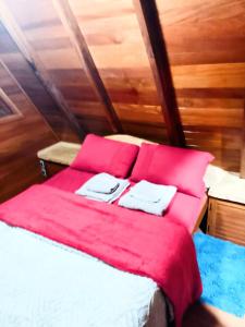 a bed in a room with red pillows on it at Cabanasdoaconchego in São Salvador