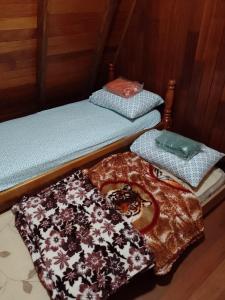 three bunk beds sitting on the floor in a room at Cabanasdoaconchego in São Salvador +24 photos