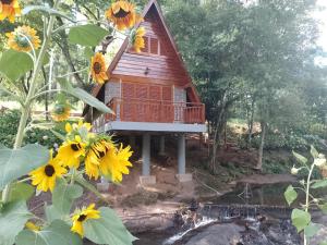 a tree house in the middle of a field of sunflowers at Cabanasdoaconchego in São Salvador