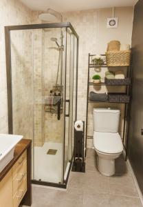 a bathroom with a shower and a toilet in it at Apartamento en Villamediana-Logroño tranquilo y bien equipado in Villamediana de Iregua