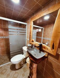 a bathroom with a toilet and a sink and a mirror at Glamping Cabañas Luz y Vida in Chignahuapan