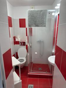 a bathroom with a shower with a toilet and a sink at Hullam Rooms Siofok in Siófok +27 photos