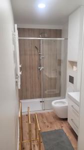 a bathroom with a shower and a toilet and a sink at Wiosłem w Hamaku Domek nad Wkrą in Rybitwy +54 photos