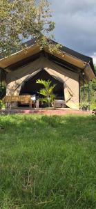 a tent in the middle of a field of grass at SaitotiMara Safaris in Sekenani +26 photos