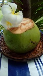 Gallery image of Shirley's Cottage - Pamilacan Island in Baclayon