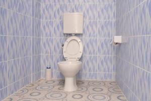 a bathroom with a toilet with blue tiled walls at Almarg homes in Nakuru