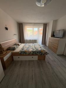 a bedroom with a bed and a television in it at Apartmán Olive in Terchová