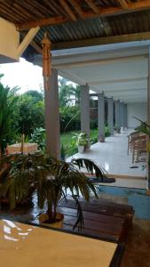 a porch with a potted plant in a house at A-Manta Homestay in Labuan Bajo