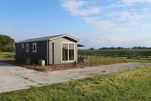 a small shed in the middle of a field at Chalet vrijheid in Tjerkgaast