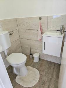 a bathroom with a white toilet and a sink at Ágnes Apartmanok in Harkány