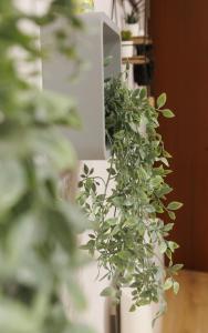 a green plant in a white vase on a table at Apartamento en Villamediana-Logroño tranquilo y bien equipado in Villamediana de Iregua