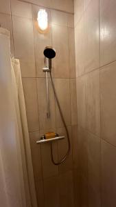 a shower with a shower head in a bathroom at Haixpia, le dortoir in Hasparren
