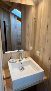 a bathroom with a white sink and a mirror at Haixpia, le dortoir in Hasparren