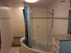 a bathroom with a shower and a toilet at Gemütliche Monteurunterkunft bei Lübeck in Stockelsdorf +6 photos