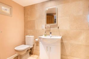 a bathroom with a toilet and a sink and a mirror at Shippon in Michaelstow +18 photos