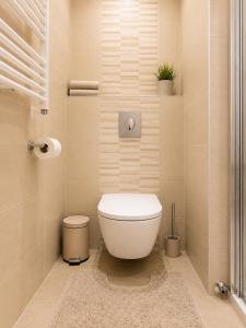 a small bathroom with a toilet and a rug at Andy's Home Central Apatment in Budapest +13 photos