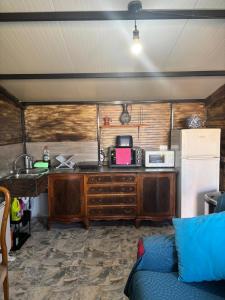 a kitchen with a counter and a microwave and a refrigerator at Cabaña rural con piscina privada in Orihuela