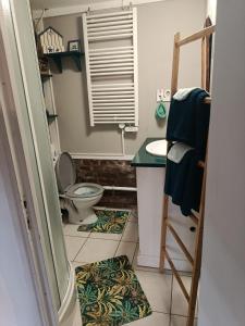 a bathroom with a toilet and a sink at Le Clair Matin in Tortefontaine